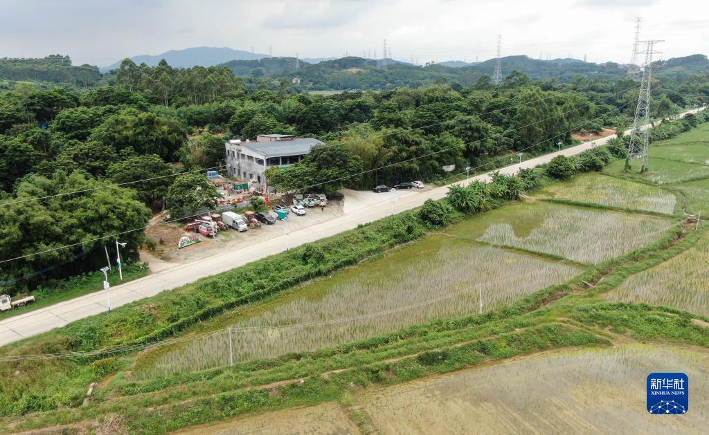 闽乐游棋牌
